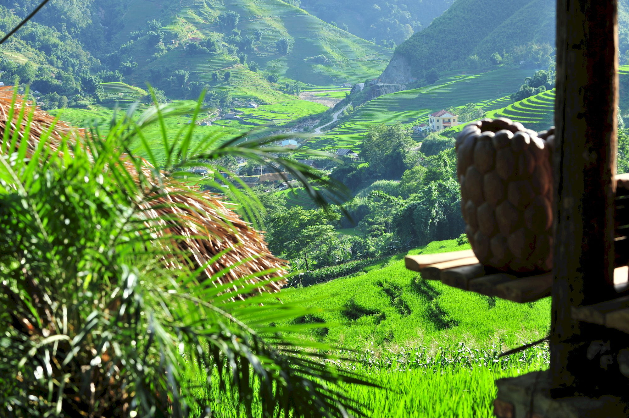 Eco Palms House - Retreat Sa Pa