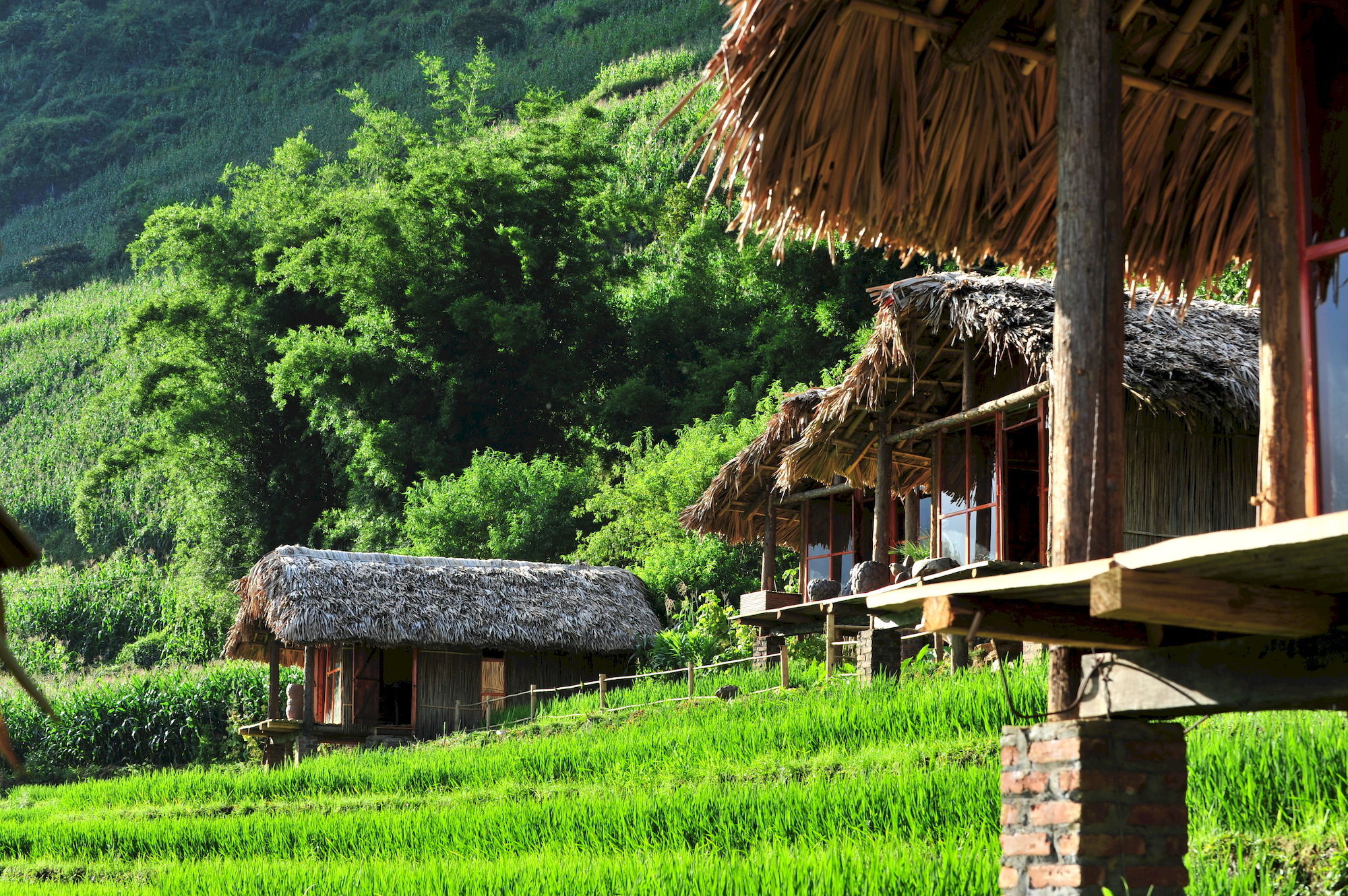 Eco Palms House - Retreat Sa Pa