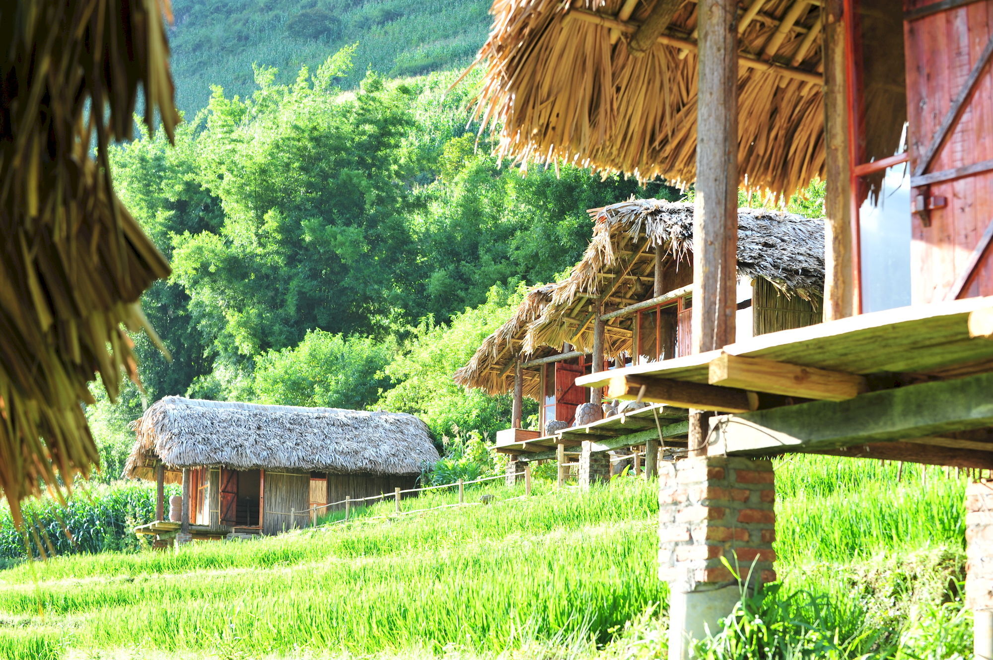 Eco Palms House - Retreat 3*
