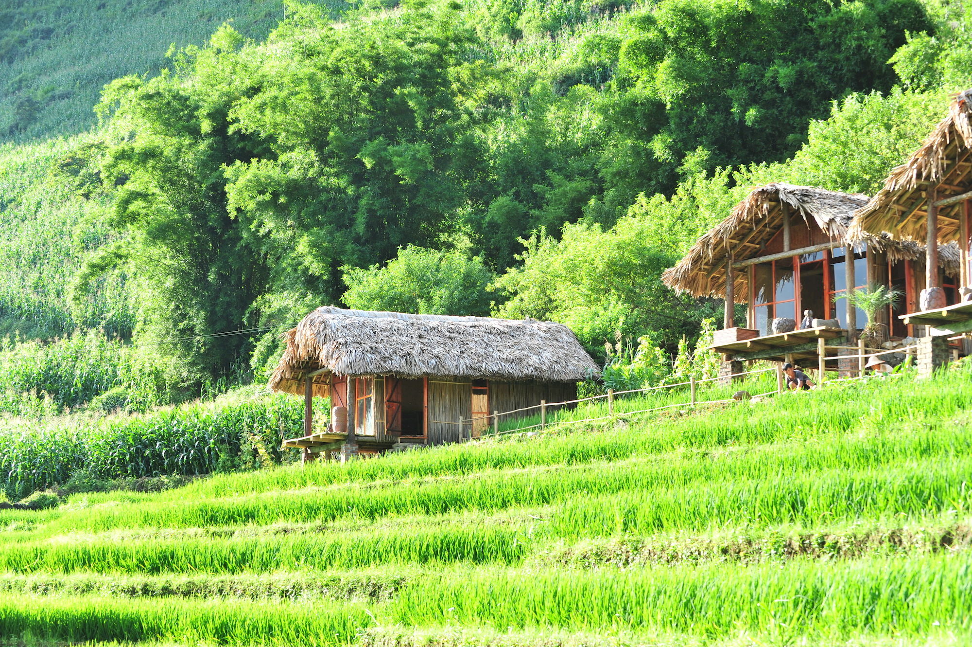 Eco Palms House - Retreat Sa Pa