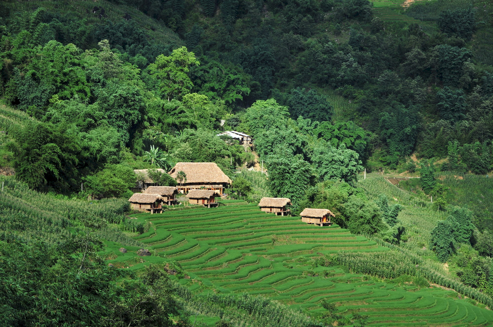 Eco Palms House - Retreat