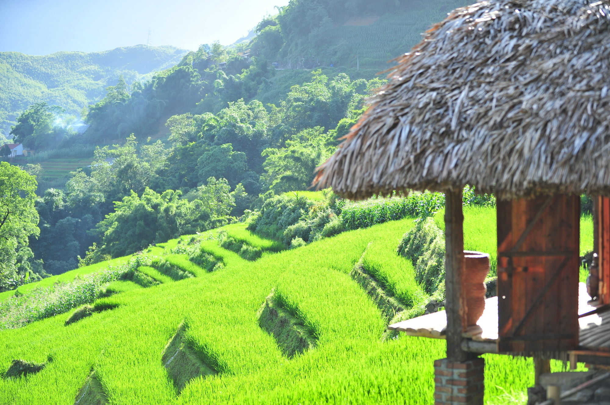 Eco Palms House - Retreat Resort Sa Pa