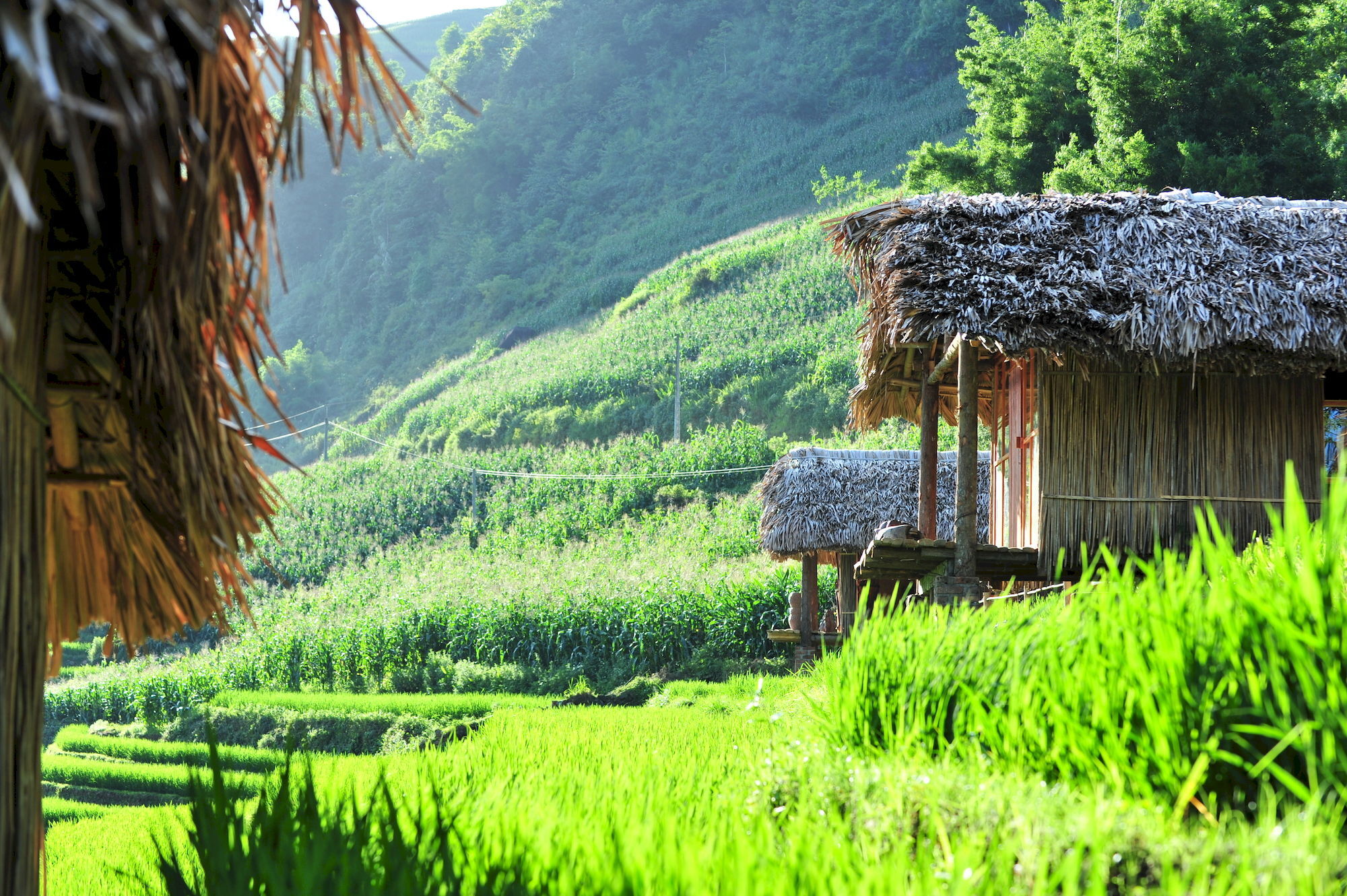 Eco Palms House - Retreat Resort 3*