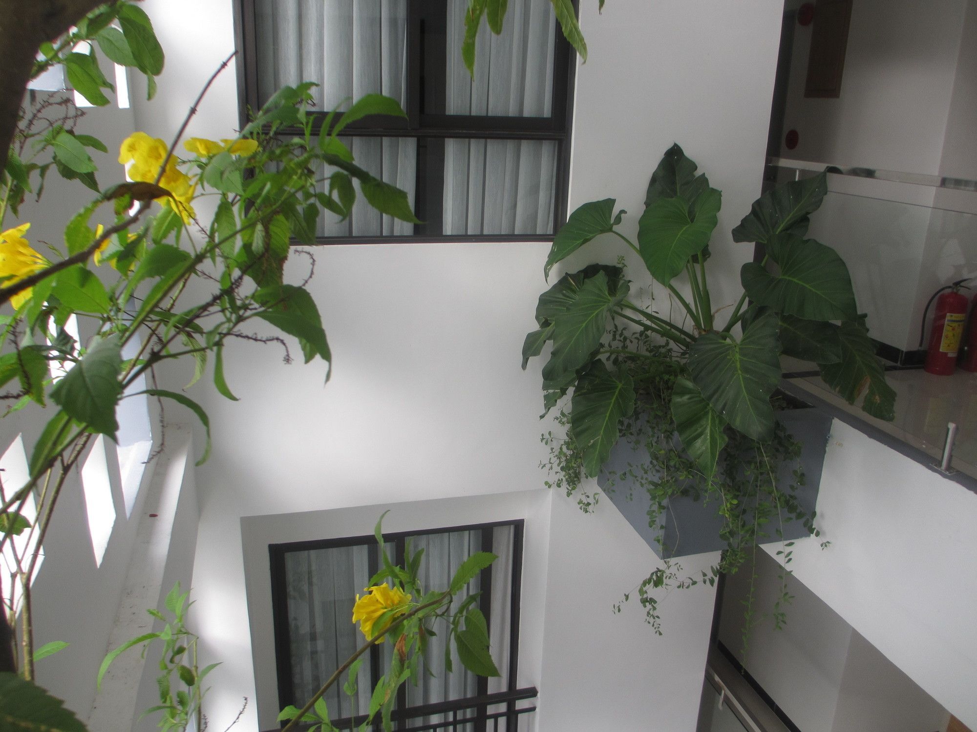 Hotel Ale Nha Trang