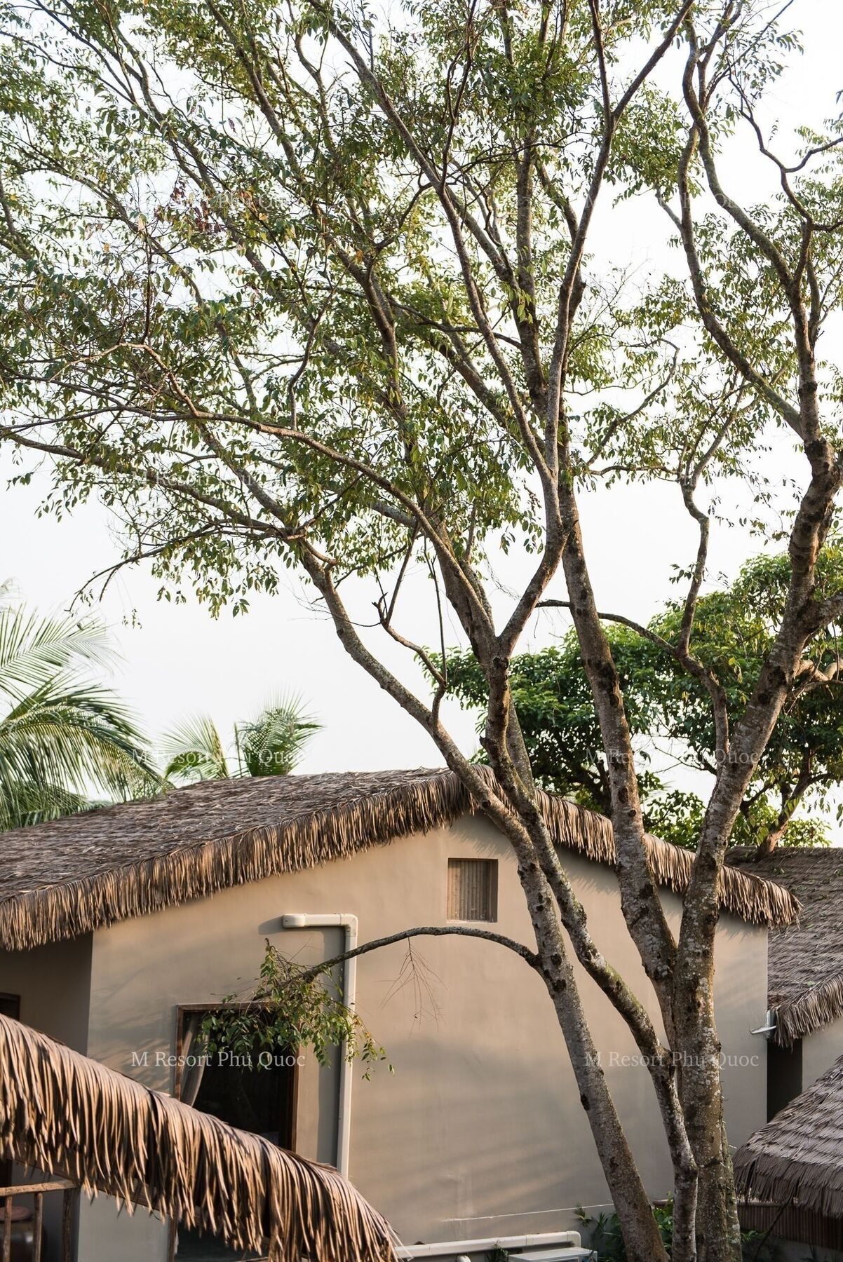 Resort M Village Tropical 4*