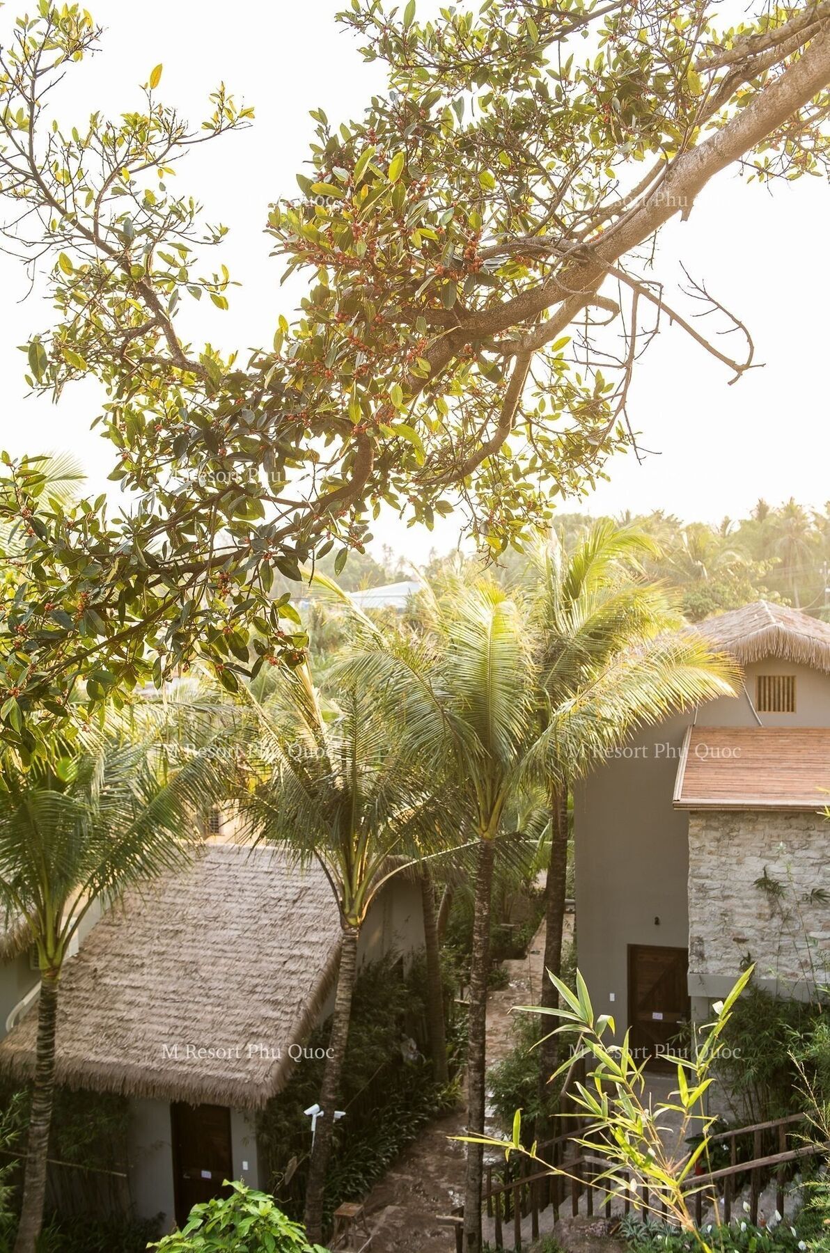 Resort M Village Tropical 4*