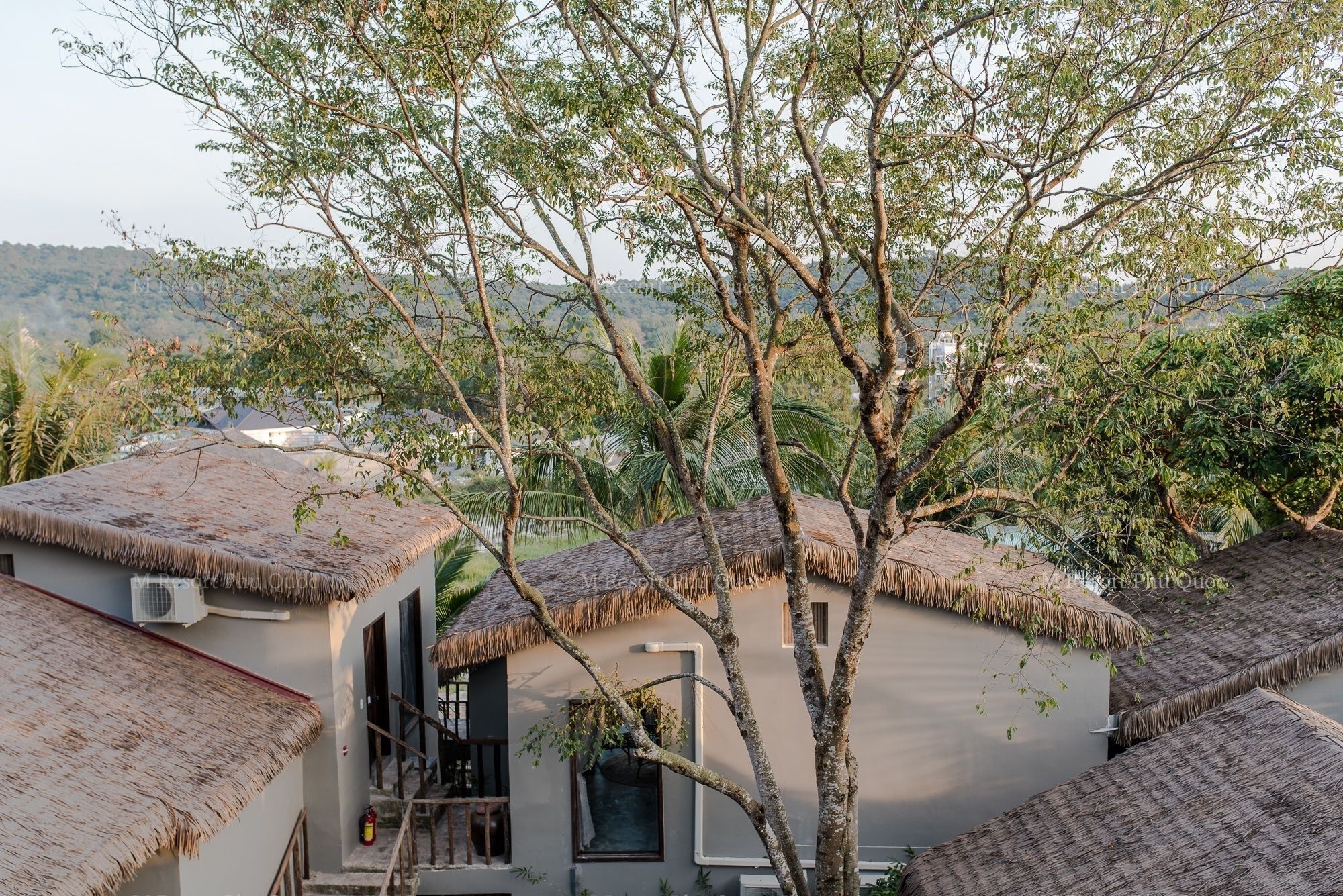 M Village Tropical Resort
