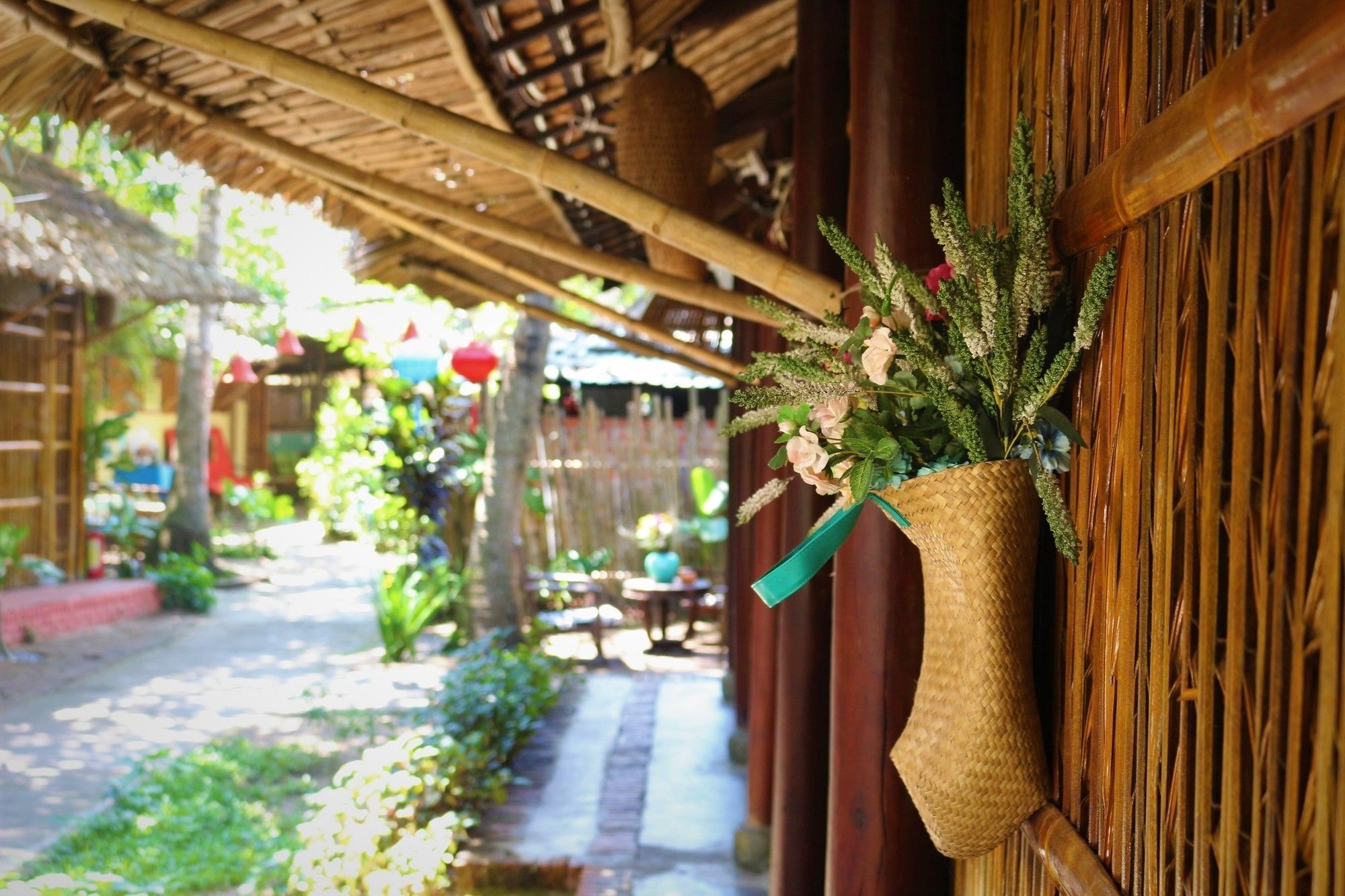 Hotel Under The Coconut Tree 3*