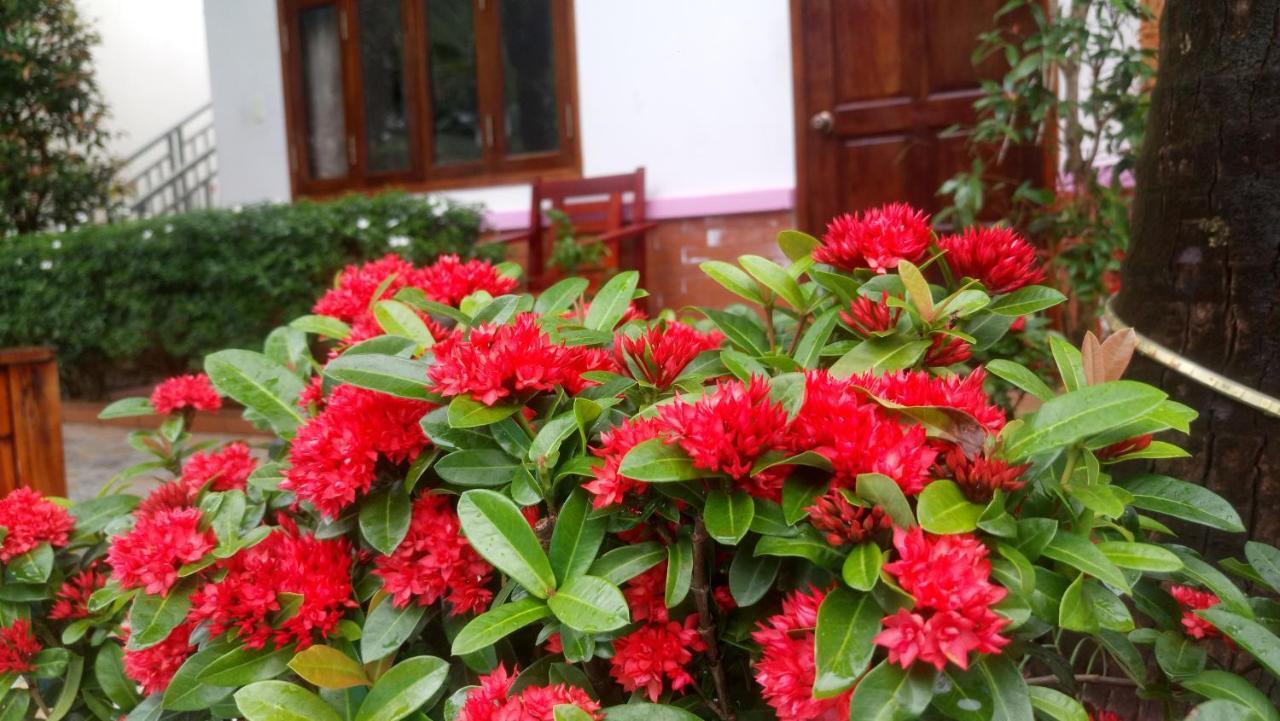 Camellia & Resort Phu Quoc