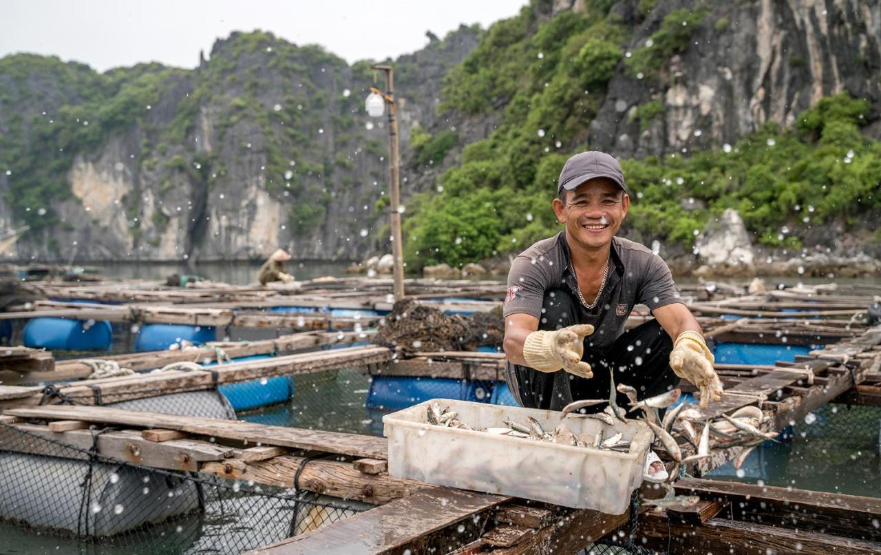 Heritage Line Ylang Cruise - Halong Bay & Lan Ha Bay 5*