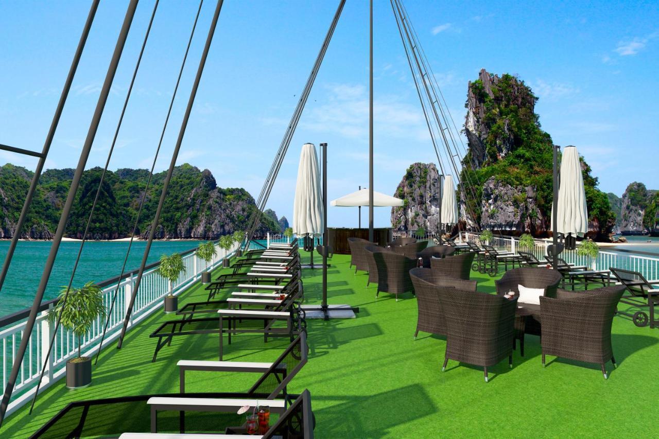 Dora Cruise By Hag  5*