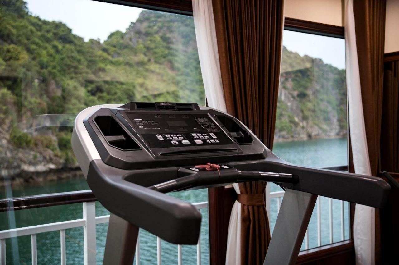 Dora Cruise By Hag  5*
