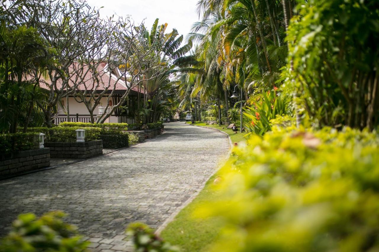 Dưỡng Sơn Trà