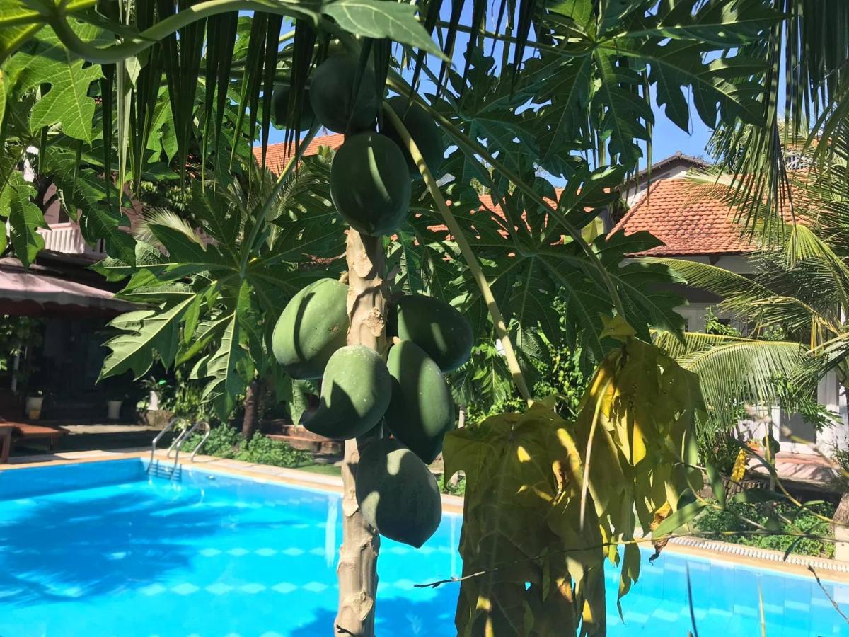 Gecko House Resort 2*