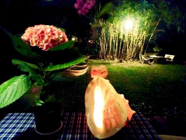 Bamboo Garden 2*