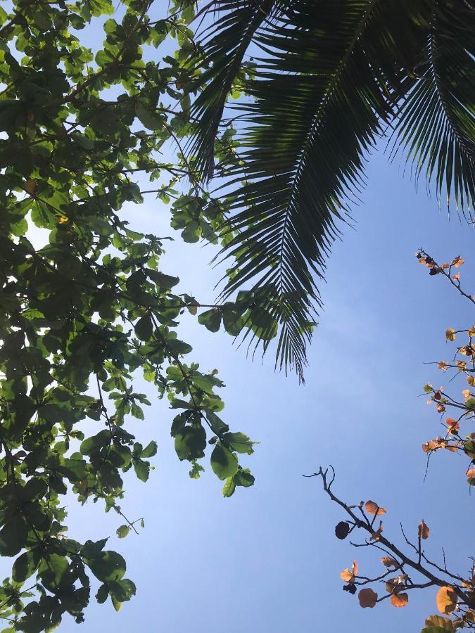 Simon 3* Nha Trang