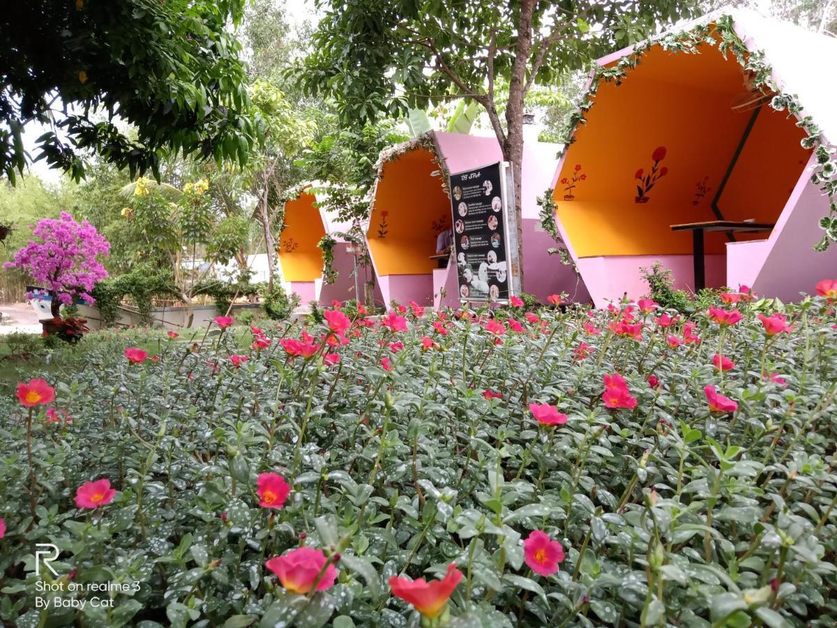 Camellia &