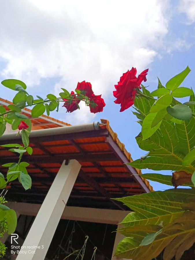 Ecovil Resort