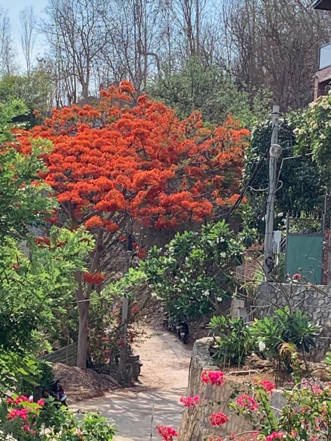Bella Vista Homestay Vung Tau