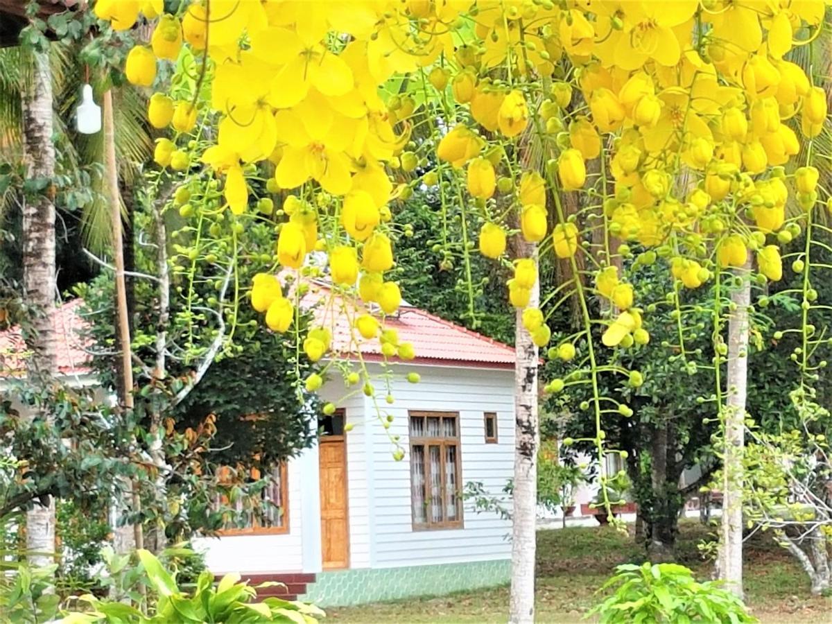 Tang Thanh Phat Resort 2*