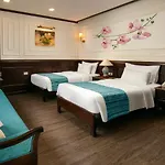 Orchid Trendy Cruise