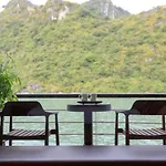 Orchid Trendy Cruise