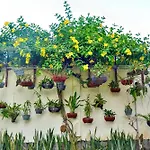 Thai Hoa Mui Ne Resort