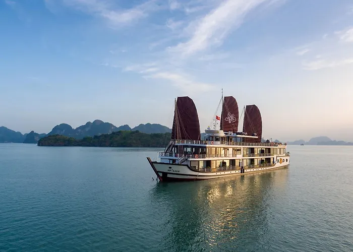 Orchid Trendy Cruise