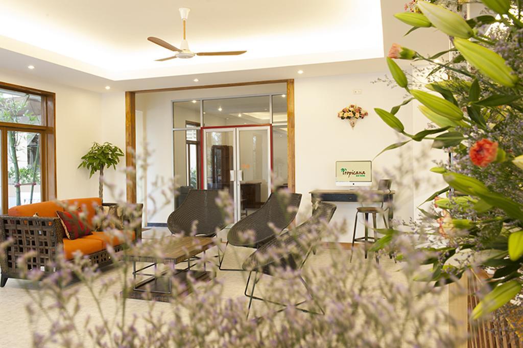 Tropicana Hotel 3*