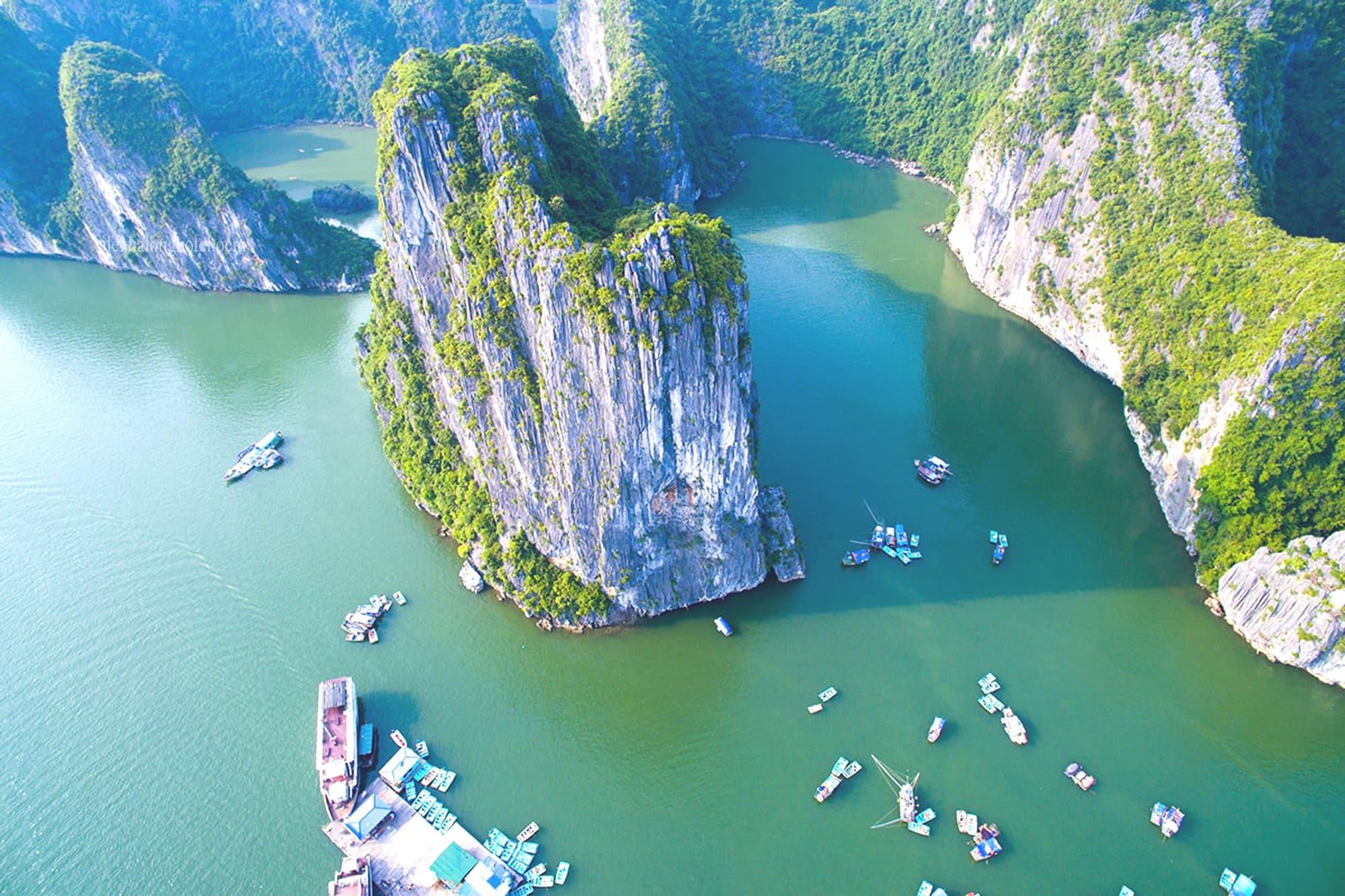 Alex Ha Long