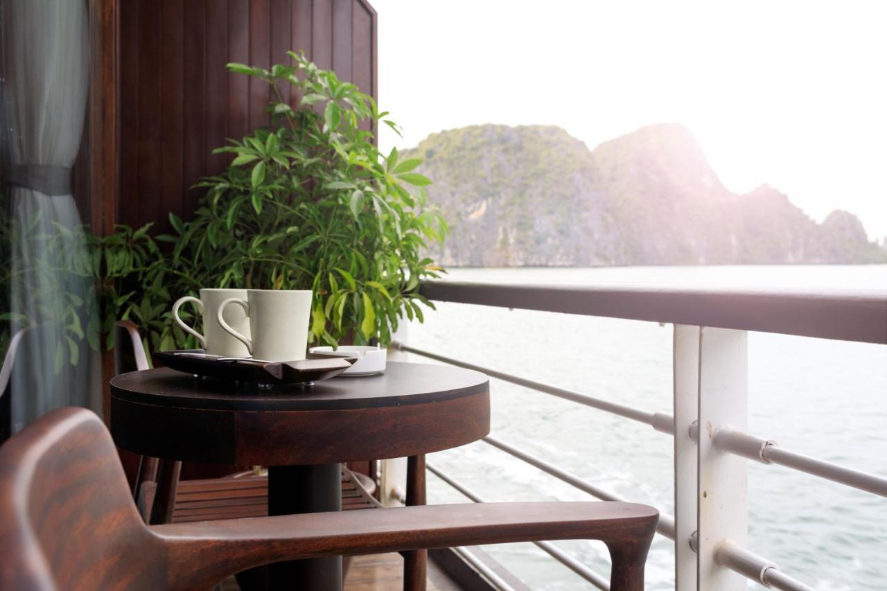  Orchid Trendy Cruise