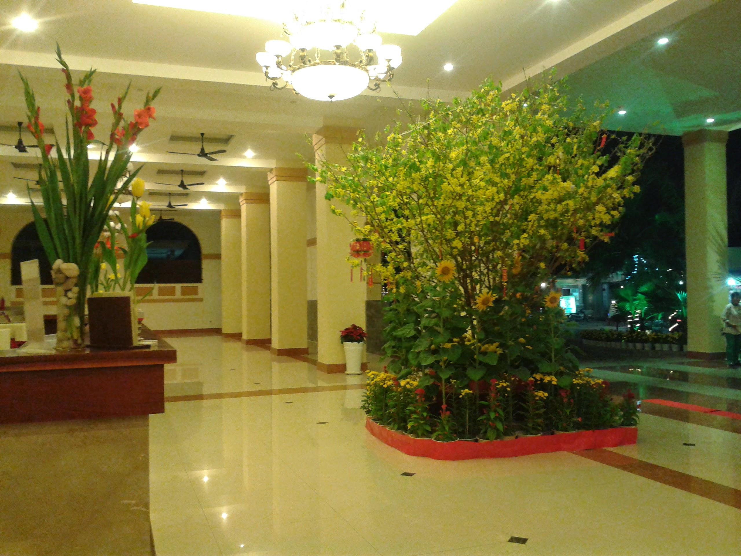 Resort Sunny &