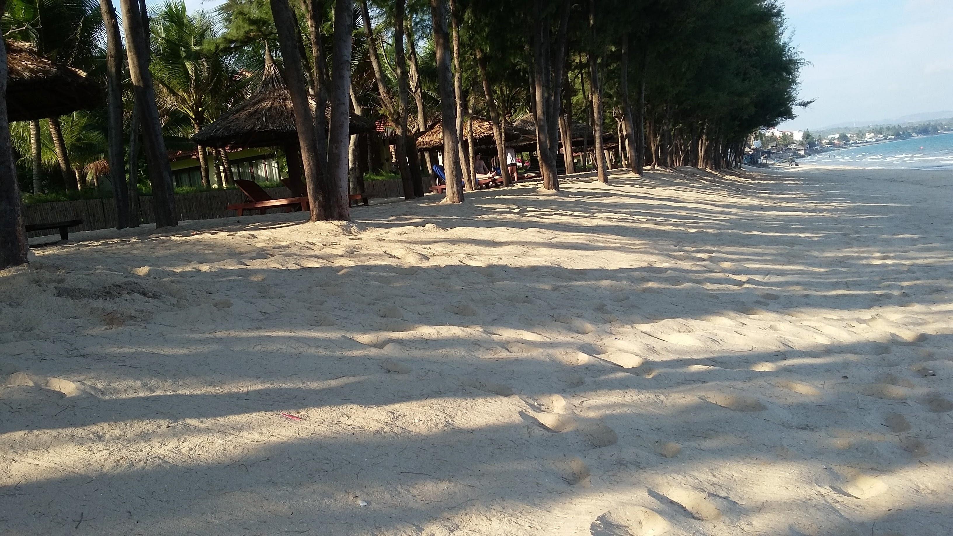 Sunny & Resort 4*