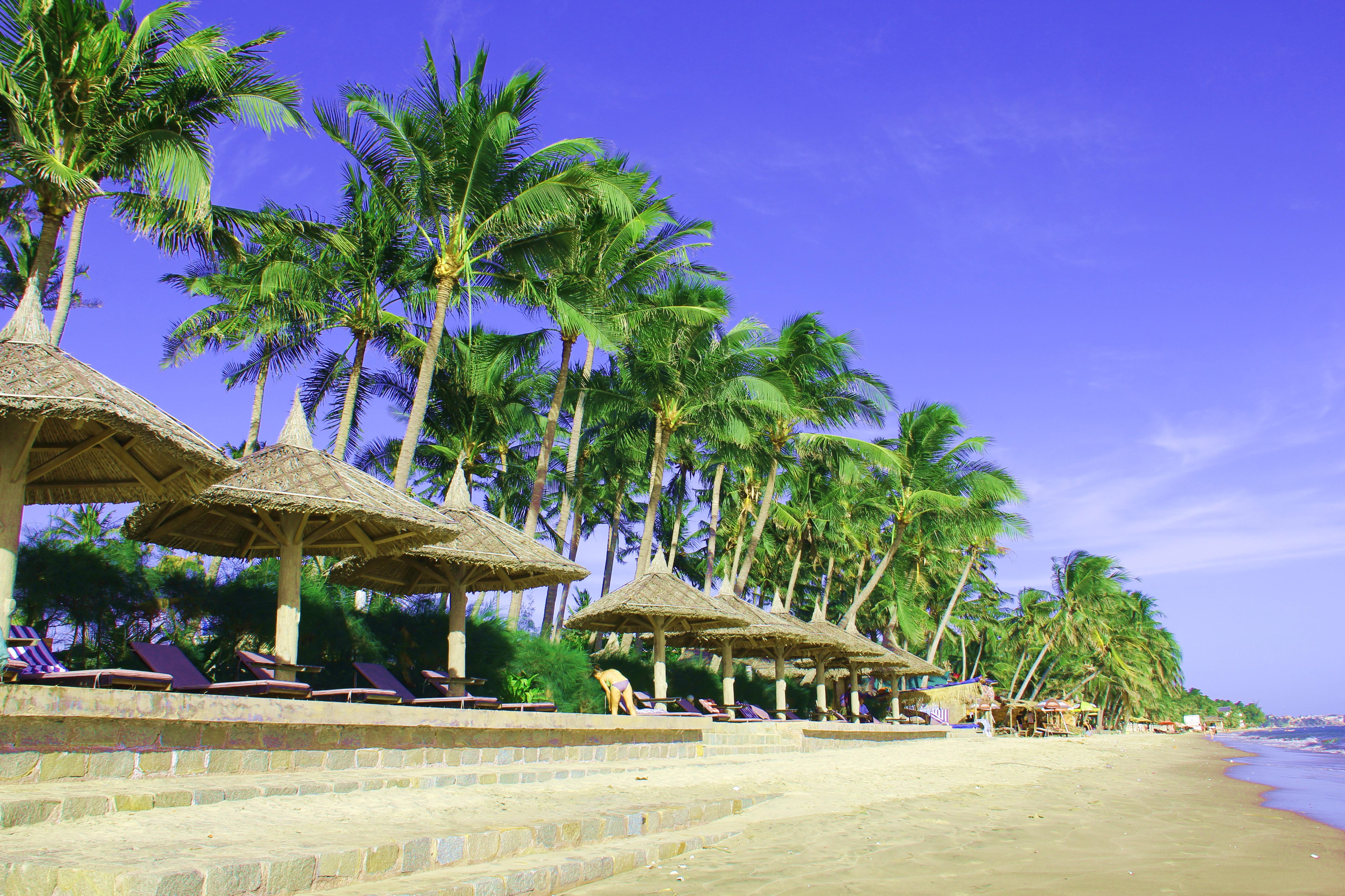 Resort Little Paris 4*