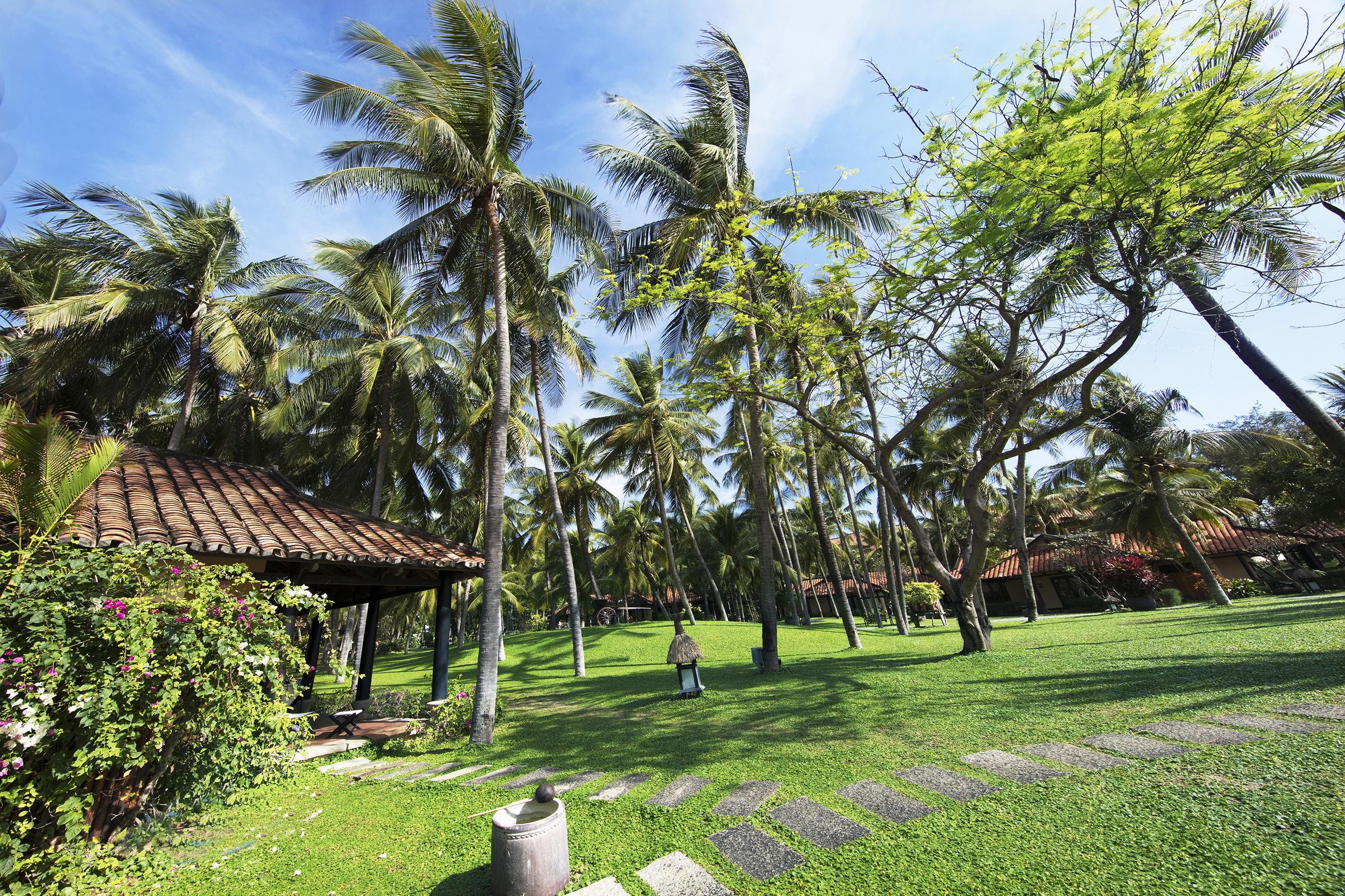 Seahorse & Hotel Phan Thiet