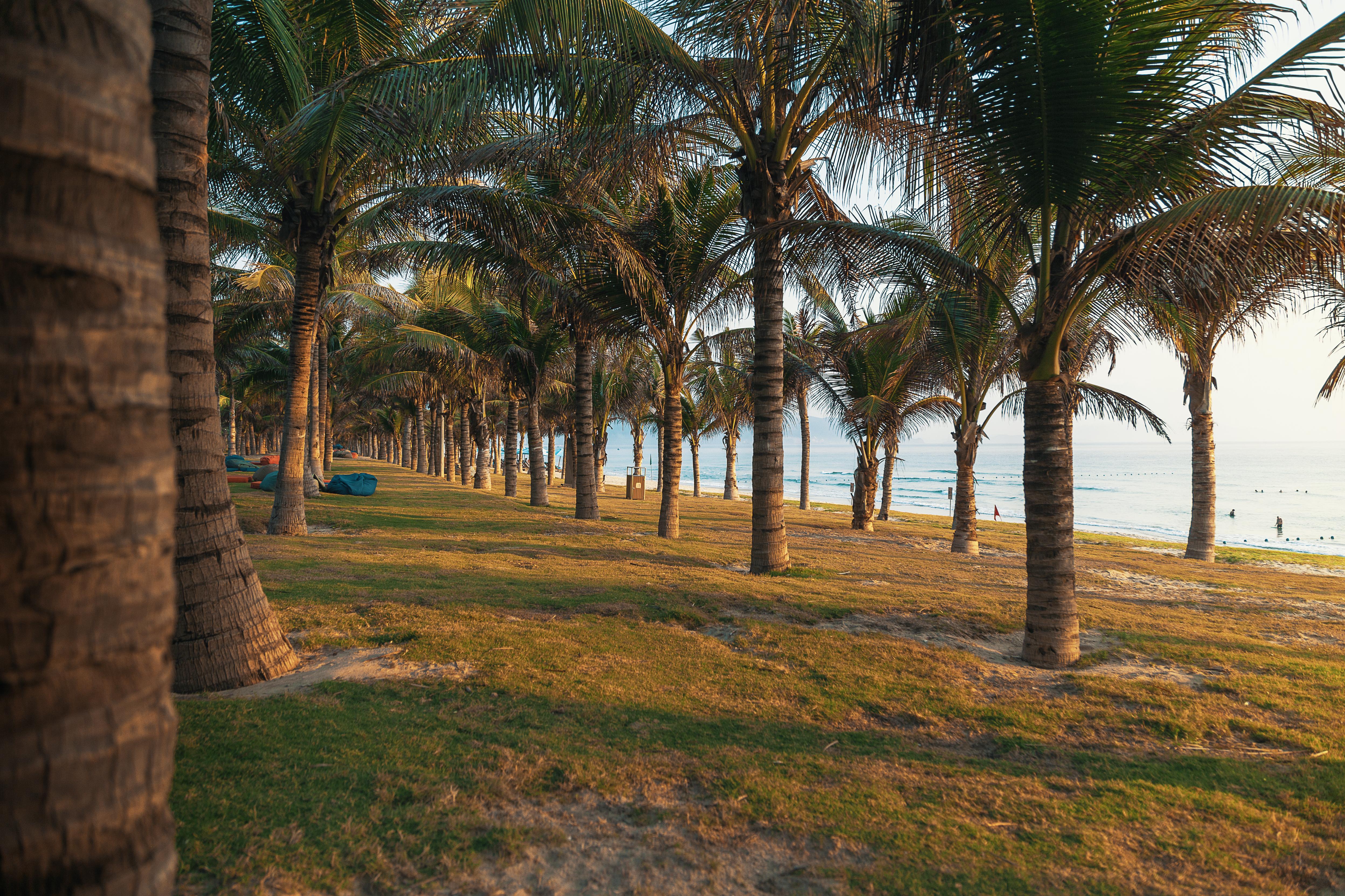 Khu nghỉ mát Duyen Ha 5*