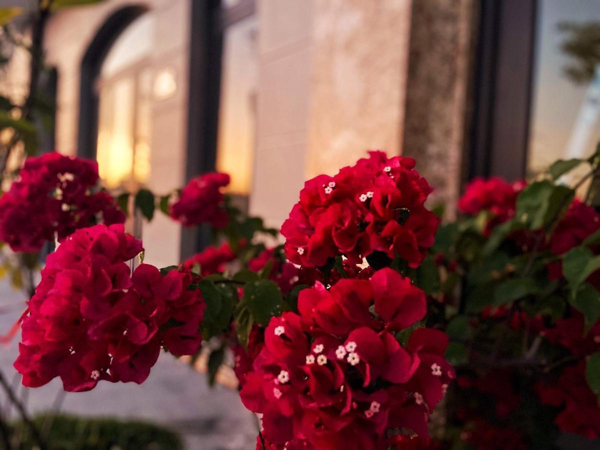 Elysinam Boutique Hotel