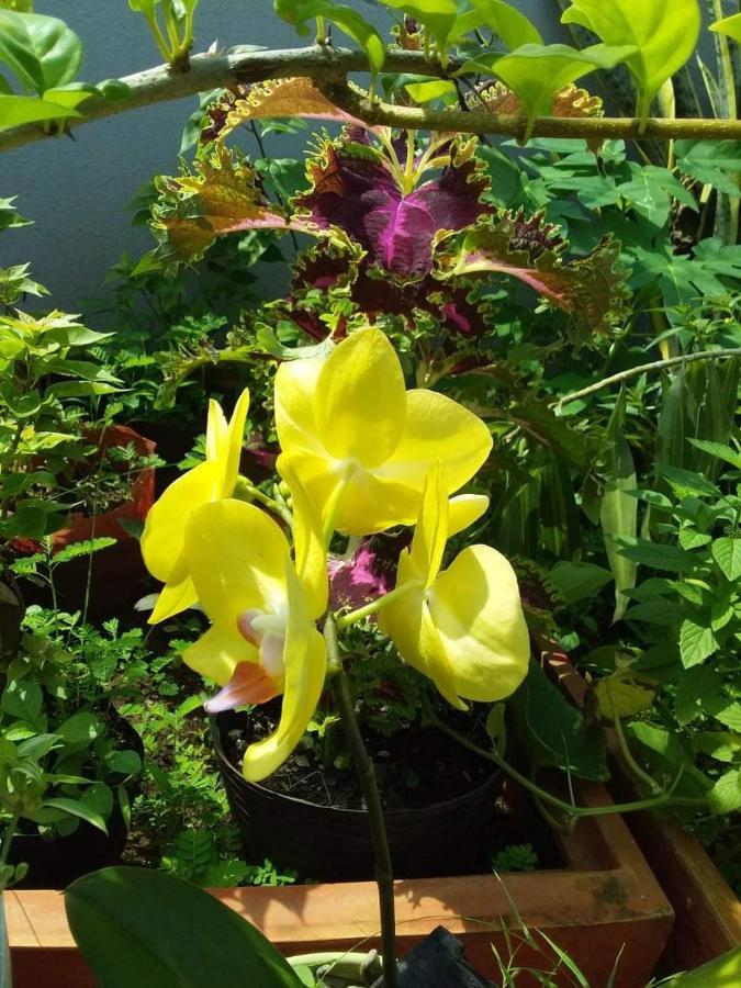Hana Mini Homestay Holiday home Vung Tau