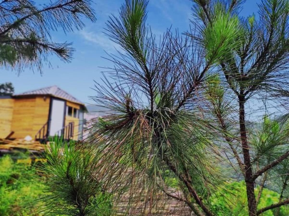 Ở trọ Mimosa Hà Nội