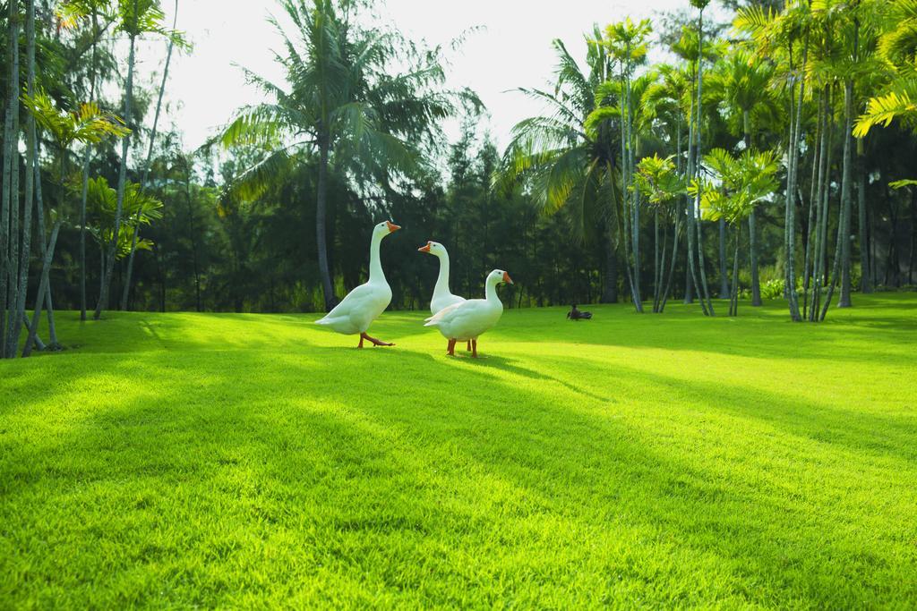 Sanctuary Residential Community Biệt thự
