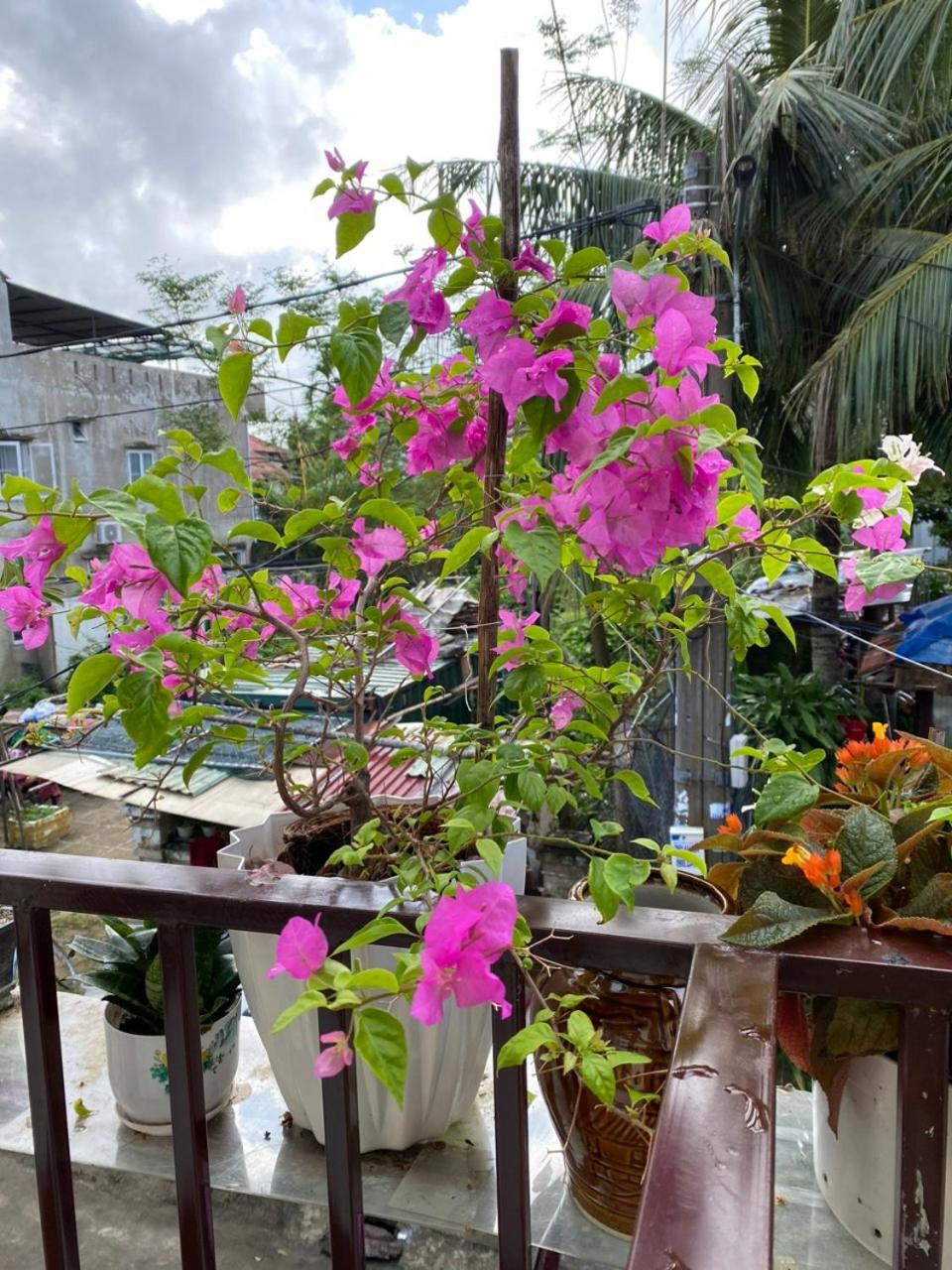 Cuong Thinh Ở trọ *