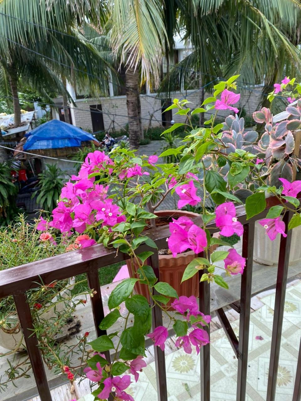 Ở trọ Cuong Thinh *