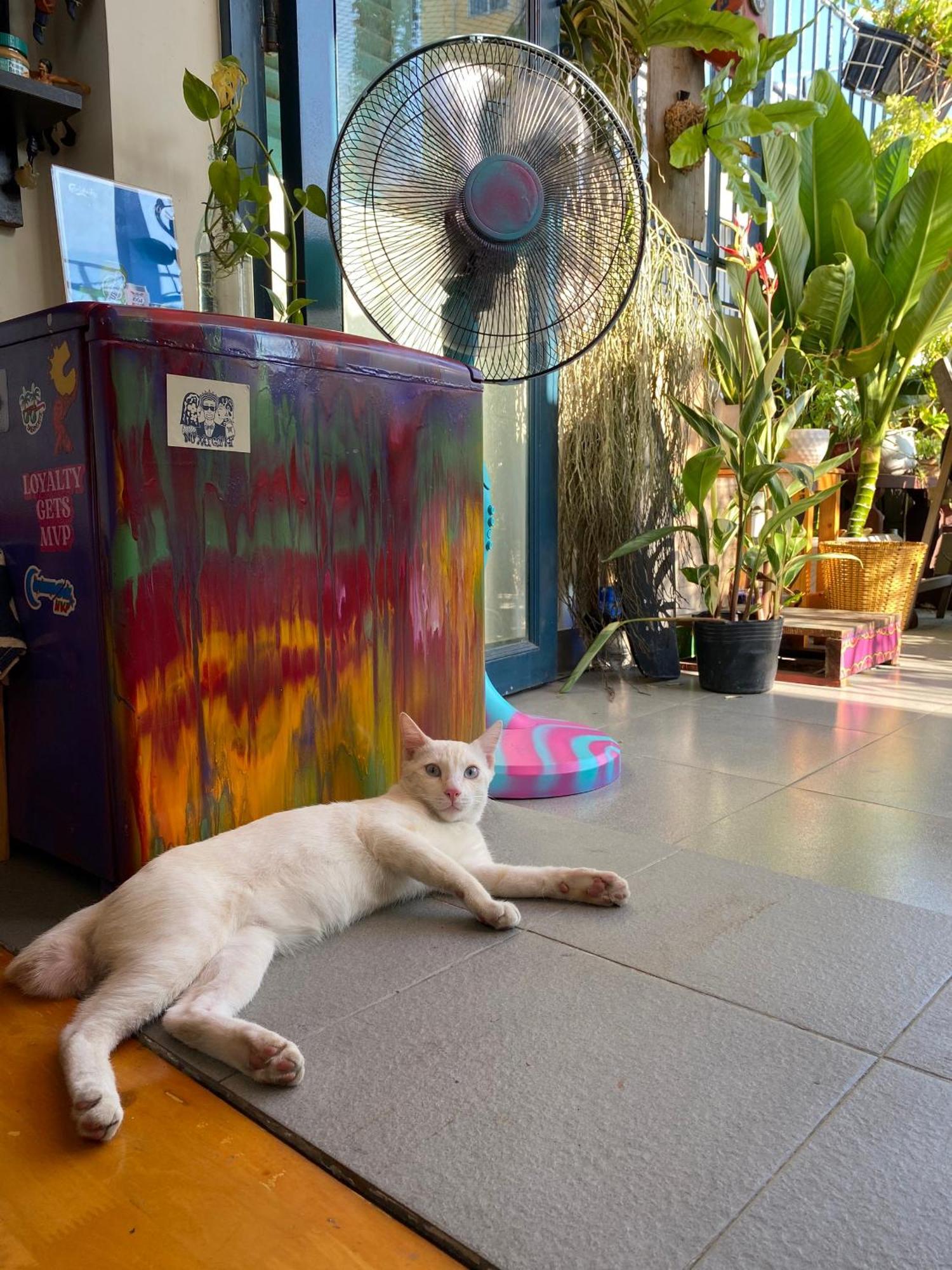 Hostel Laca Ho Chi Minh City