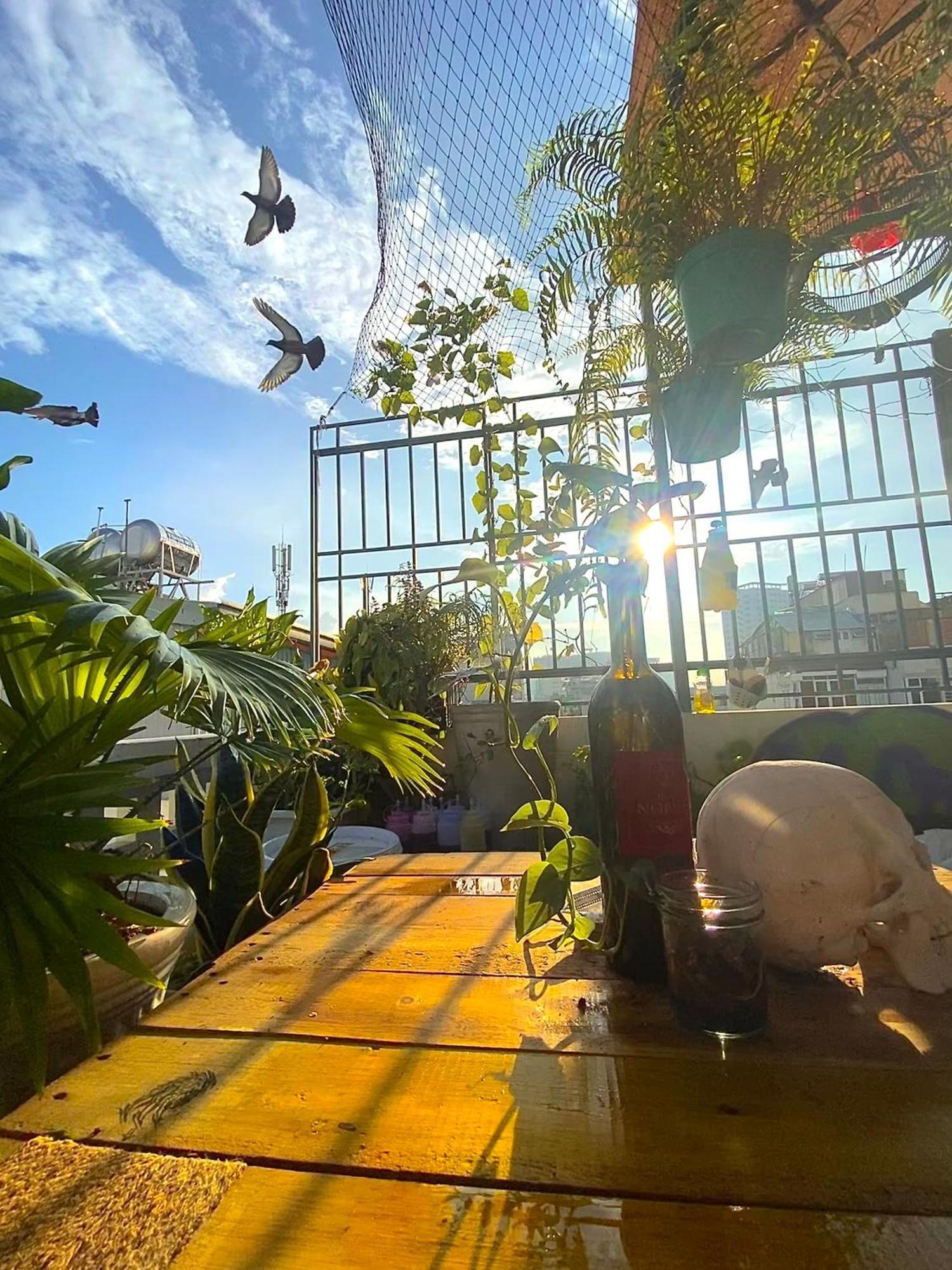 Laca Hostel Ho Chi Minh City