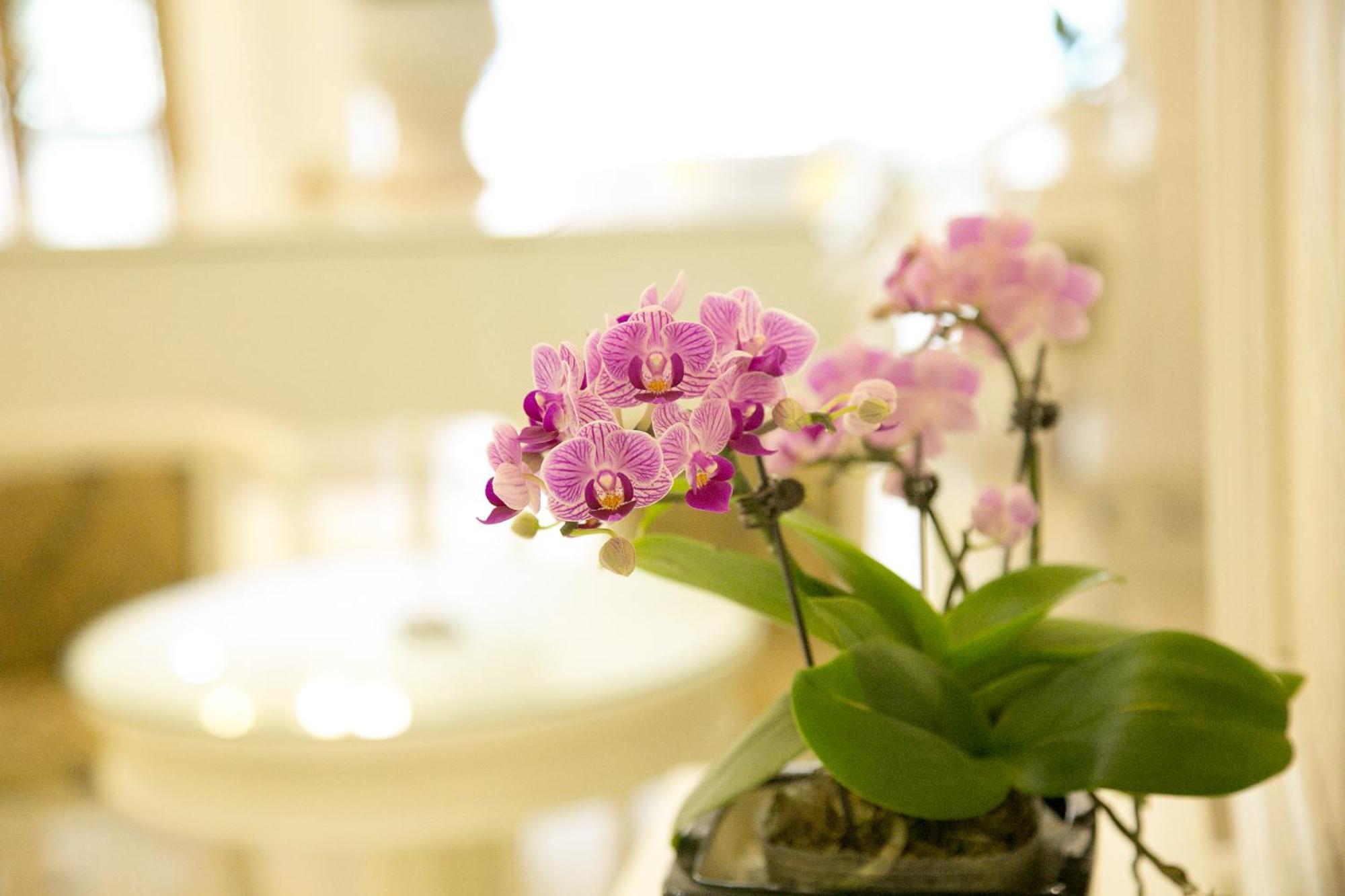 Bay Palace Khách sạn Hạ Long