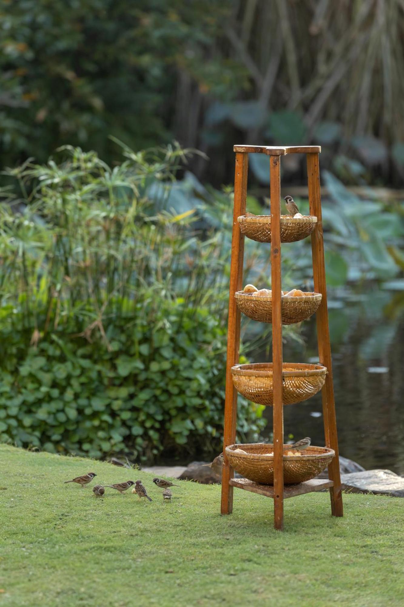 Anantara Khu nghỉ mát 5*