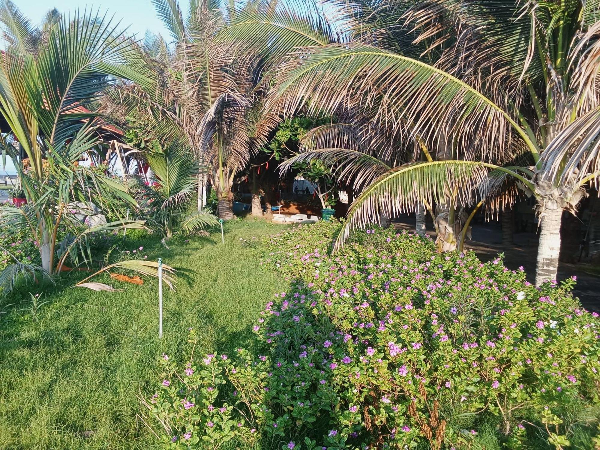 Resort Bien Ngoc Homstay *