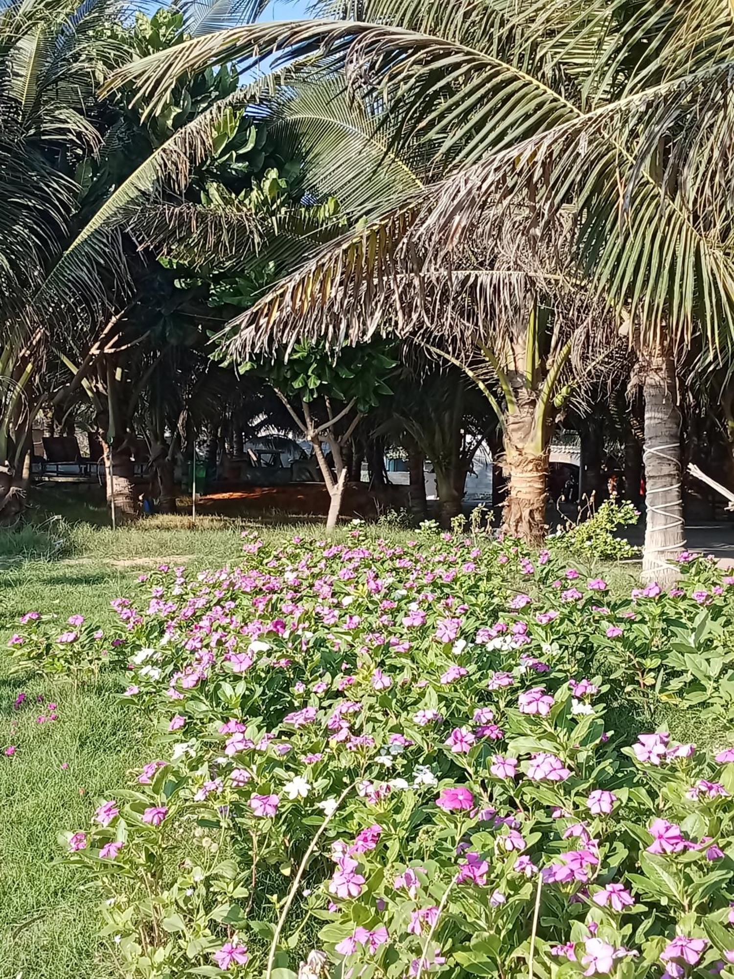 Resort Bien Ngoc Homstay Phan Thiet