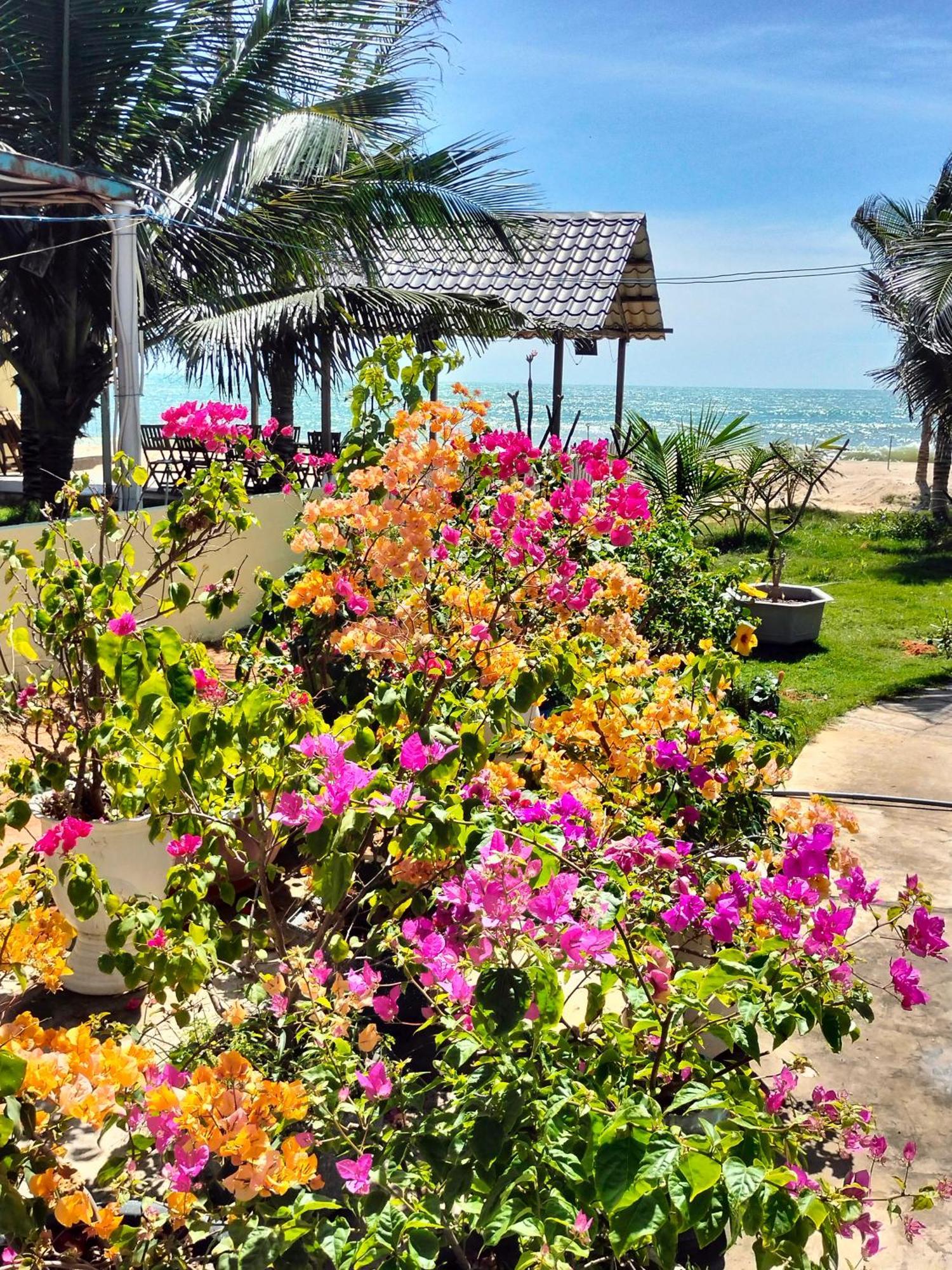 Bien Ngoc Homstay Resort