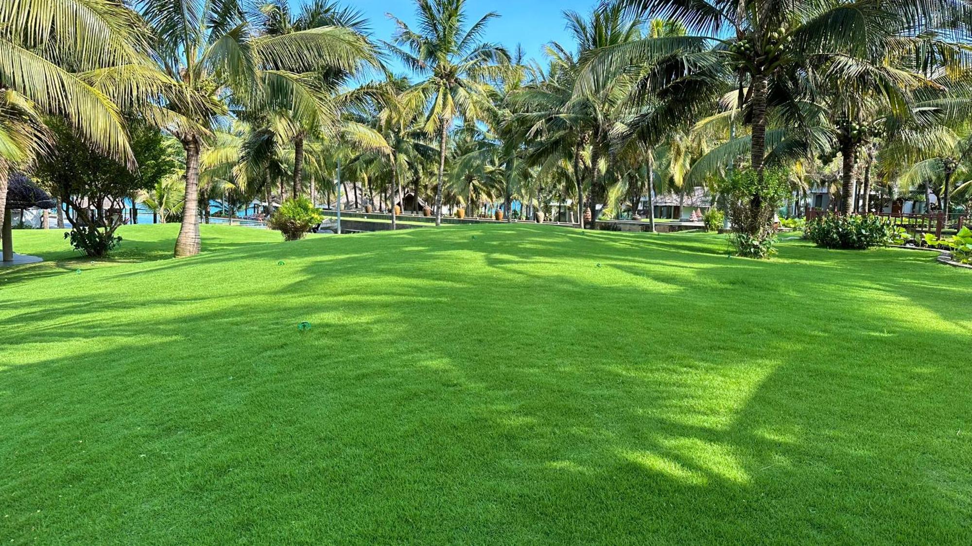 Sonata & 4* Phan Thiet